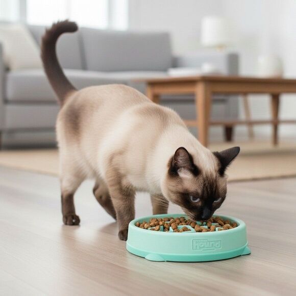 NWT Outward Hound Slo Bowl Pink SMALL Slow Feeder Anti Vomit Cat Kitten - Picture 3 of 9